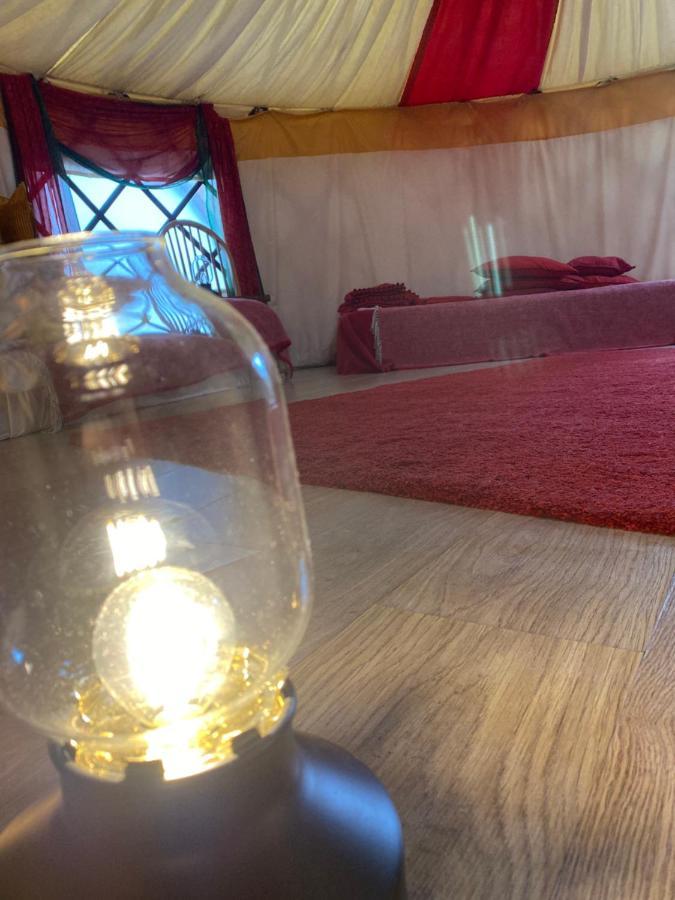 Healing Waters Sanctuary For Exclusive Private Hire And Self Catering Board, Vegetarian, Alcohol & Wifi Free Retreat In Glastonbury Ngoại thất bức ảnh