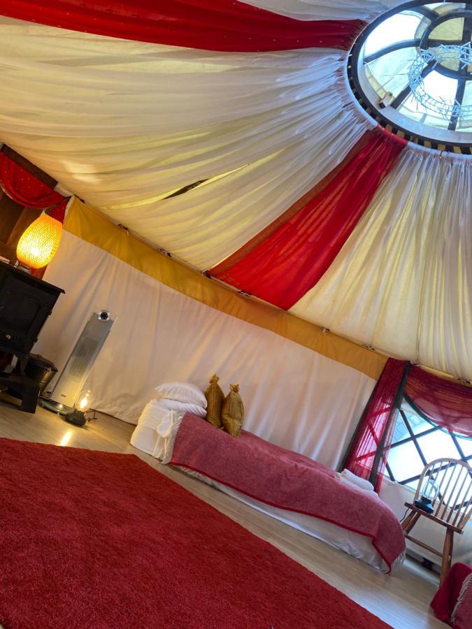 Healing Waters Sanctuary For Exclusive Private Hire And Self Catering Board, Vegetarian, Alcohol & Wifi Free Retreat In Glastonbury Ngoại thất bức ảnh
