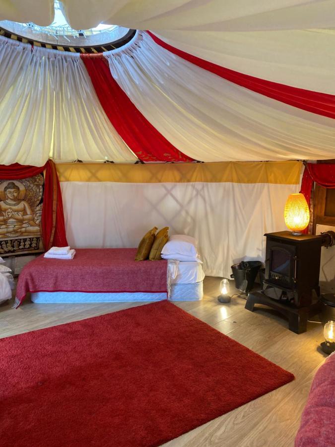 Healing Waters Sanctuary For Exclusive Private Hire And Self Catering Board, Vegetarian, Alcohol & Wifi Free Retreat In Glastonbury Ngoại thất bức ảnh