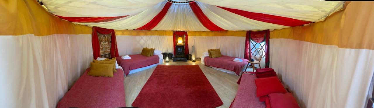 Healing Waters Sanctuary For Exclusive Private Hire And Self Catering Board, Vegetarian, Alcohol & Wifi Free Retreat In Glastonbury Ngoại thất bức ảnh
