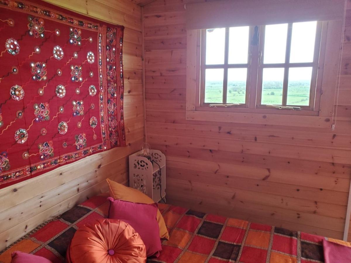 Healing Waters Sanctuary For Exclusive Private Hire And Self Catering Board, Vegetarian, Alcohol & Wifi Free Retreat In Glastonbury Ngoại thất bức ảnh